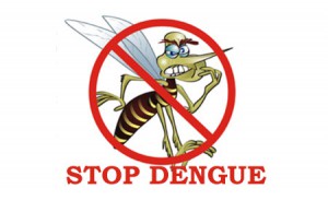 Image credit:  http://www.epakistannews.com/25366/dengue-virus-killed-four-in-lahore.html